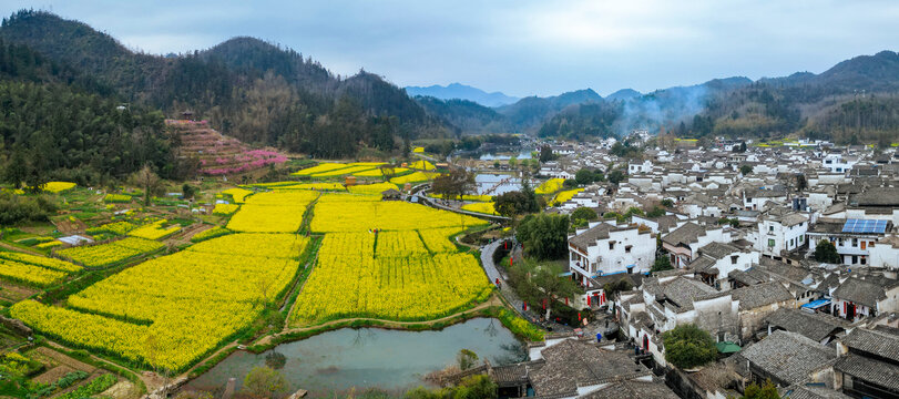 西递