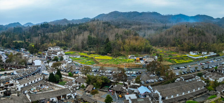 西递