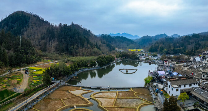 西递