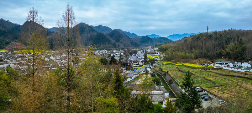 西递