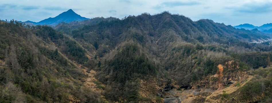 西递