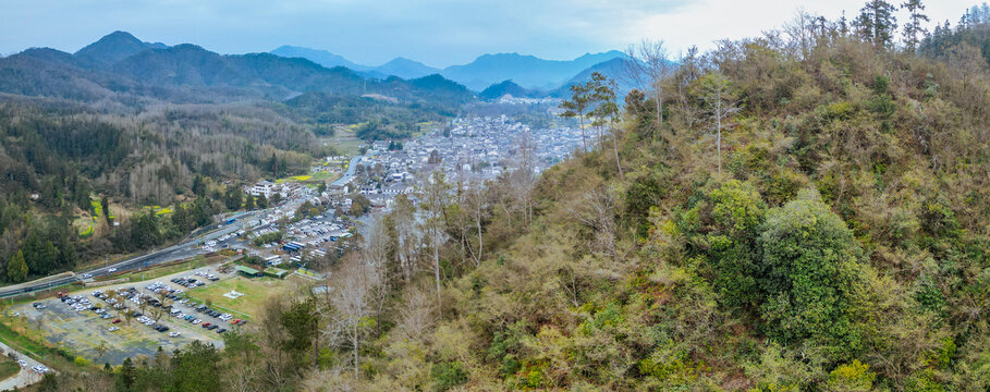 西递