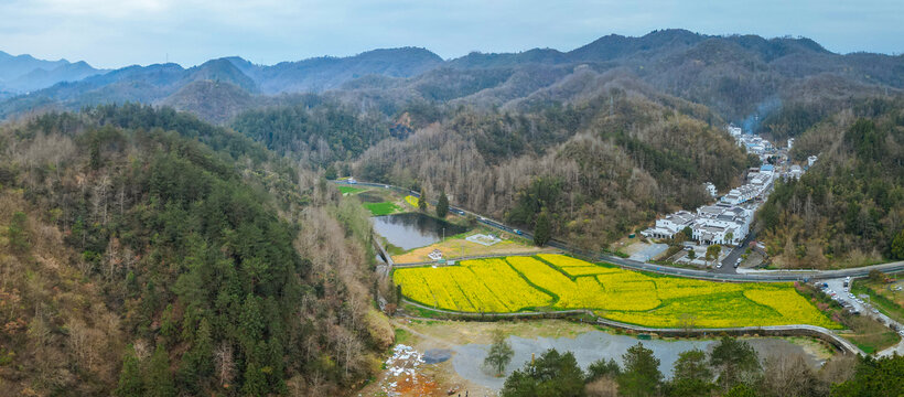 西递
