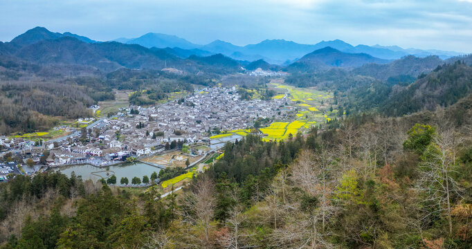 西递
