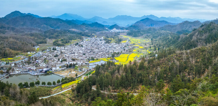 西递