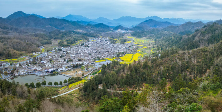 西递