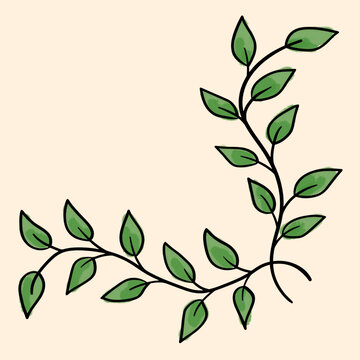 树叶叶子装饰花纹花边边框底纹