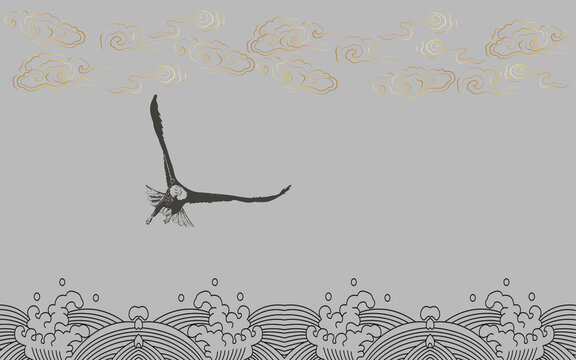 鹰
