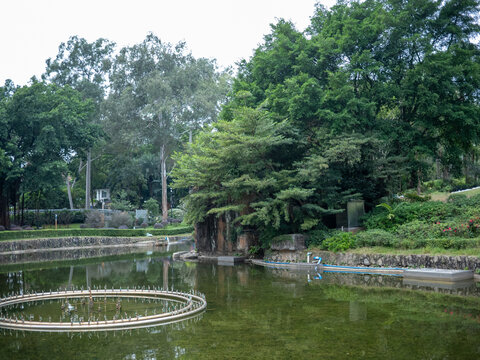 公园里的湖