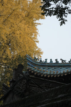 银杏与寺庙