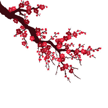 梅花