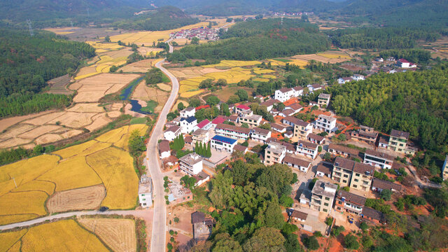 村落丰收