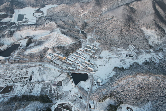 雪景
