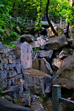 盘山善湫