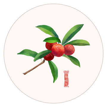杨梅吐气