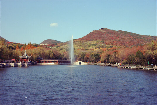 北京北宫森林公园秋景