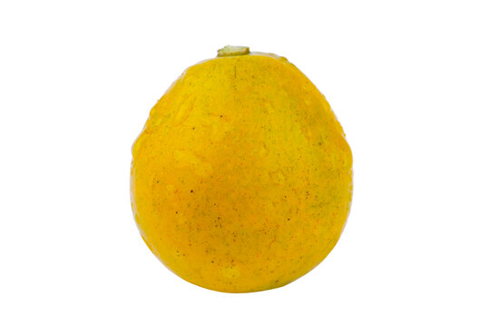 脆蜜金桔