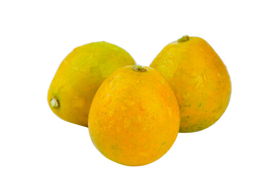 脆蜜金桔