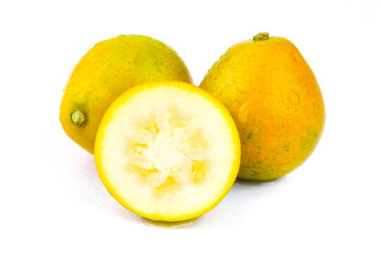 脆蜜金桔