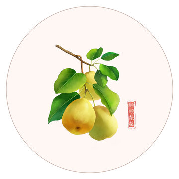 顺顺梨梨