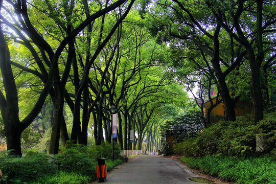 亭林园园林景观
