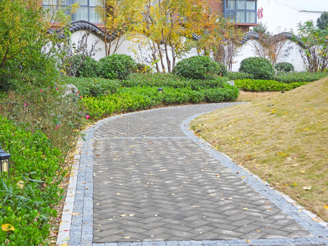 公园里的小路