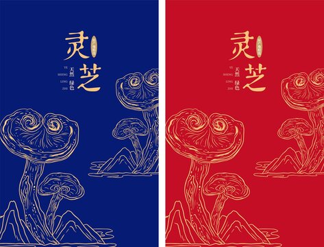 灵芝包装