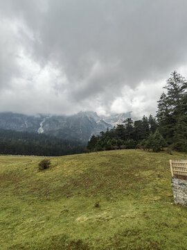 玉龙雪山云杉坪景区