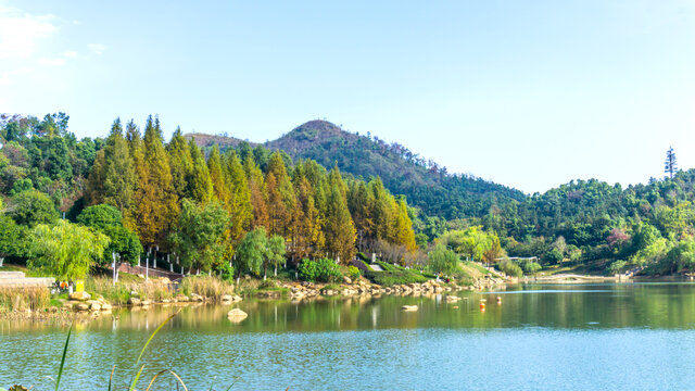 尖山湖公园金秋