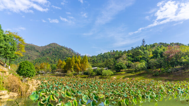 尖山湖公园湖光山色