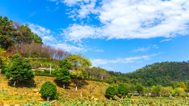 尖山湖公园湖光山色