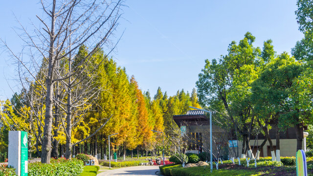 尖山湖公园金秋