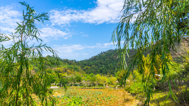 尖山湖公园秋色