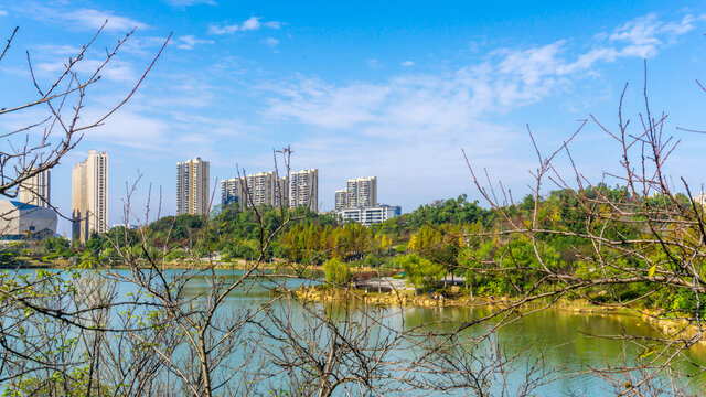 尖山湖公园秋景