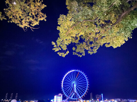 夜景摩天轮