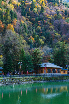 高山彩林