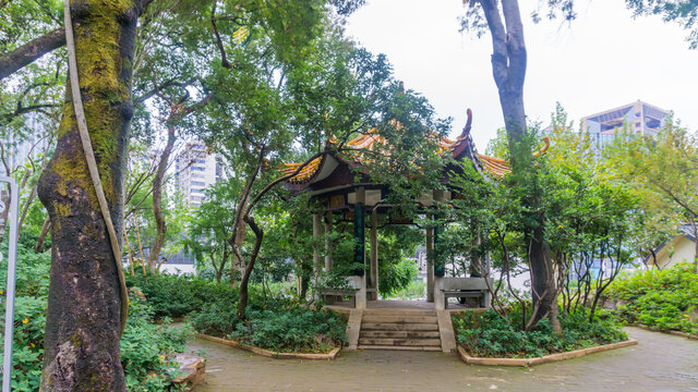 天心阁风光