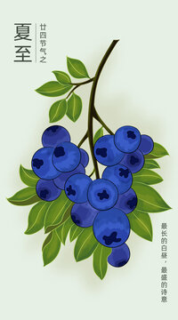 手绘蓝莓水彩节气插画