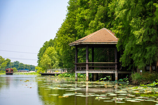 湿地景观