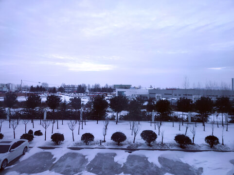 清晨园林雪景