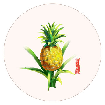 暗送秋菠