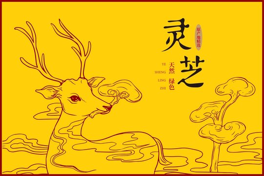 灵芝包装