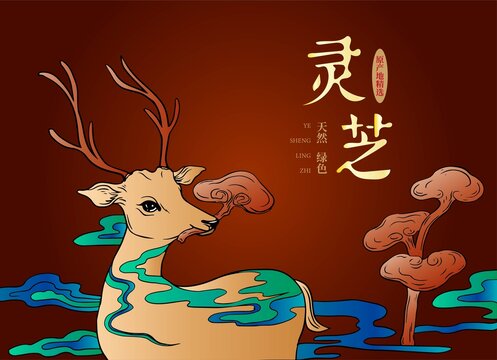 灵芝