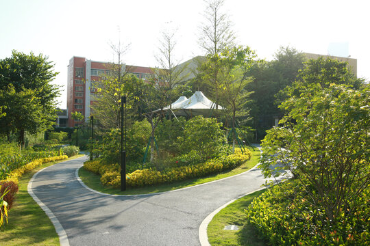 公园小路