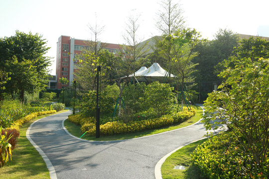 公园小路