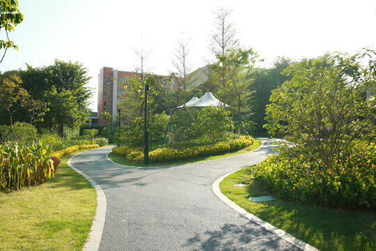 公园小路