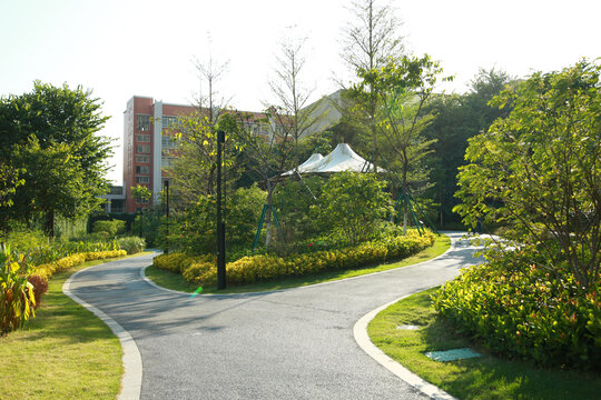 公园小路