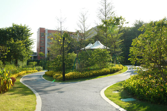 公园小路