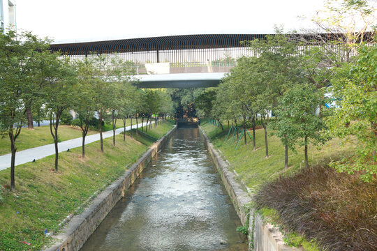 珠江涌