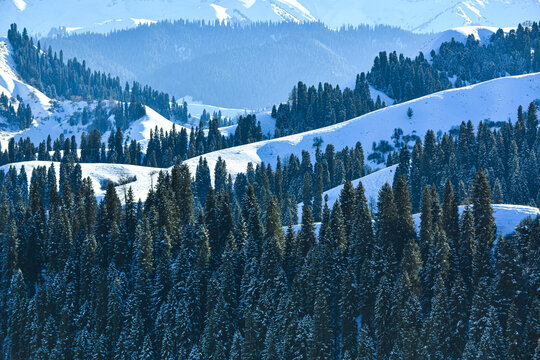 山林雪景